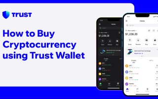 token_pocket安全吗_深入探讨Token_Pocket安全吗